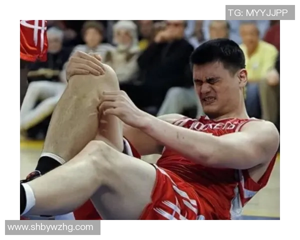 姚明面对网络喷子的攻击与反击展现了体育精神与个人魅力的真实对决