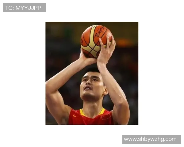 支持姚明球迷共同见证篮球传奇的辉煌与热情