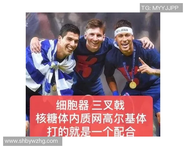 梦中与足球明星畅谈人生理想与奋斗经历的奇妙旅程