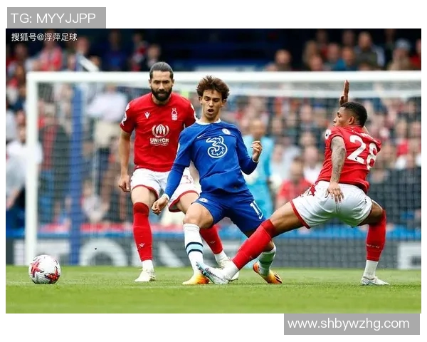 六号足球明星的辉煌历程与成就简介 六号足球明星的辉煌历程与成就简介