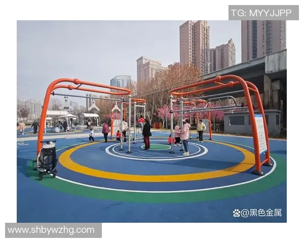 山东体育健身器材助力全民健身提升健康水平与运动热情的全新选择