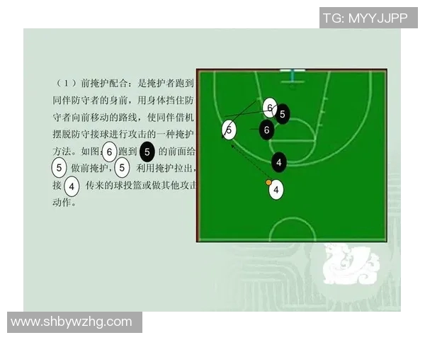 篮球明星配置图解析与球队战术搭配的深度探讨与分析 篮球明星配置图解析与球队战术搭配的深度探讨与分析